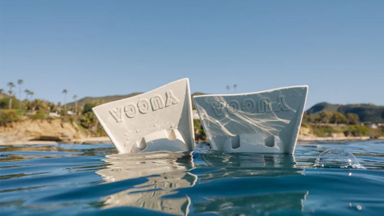 New Yucca Fins
